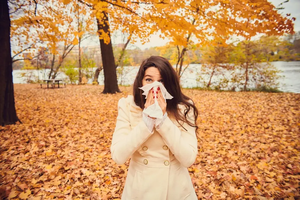 Fall Allergies.